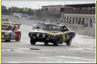 516 - UG - 24 Hours of LeMons MSR 2013.jpg